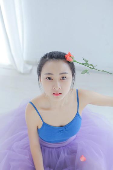 藏海花电视剧免费观看完整版